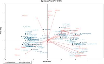 Grain nutritional and antioxidant profiling of diverse lentil (Lens culinaris Medikus) genetic resources revealed genotypes with high nutritional value